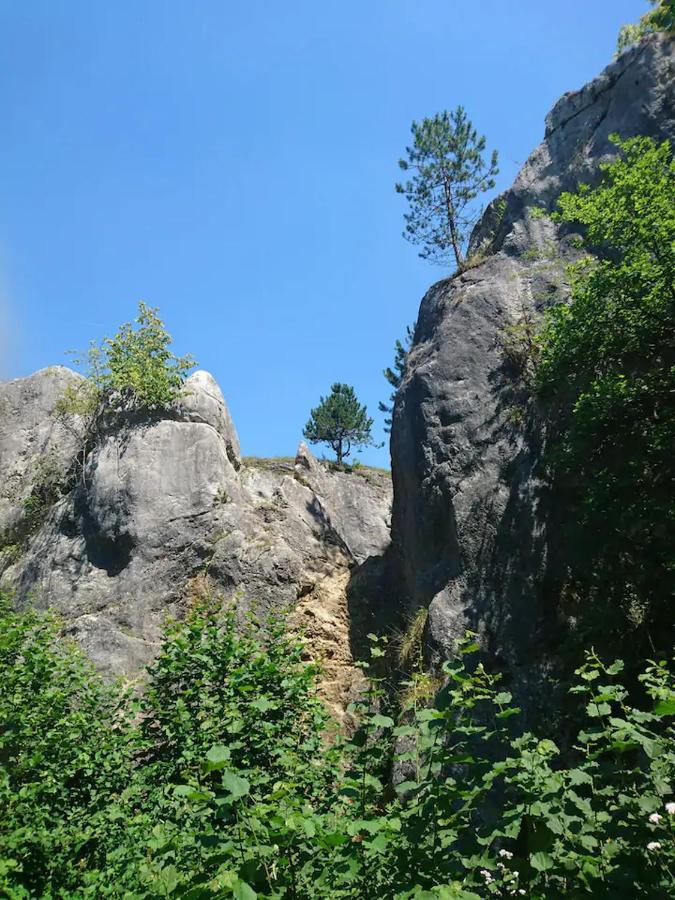 Patchou'S Cabane Villa Couvin Bagian luar foto